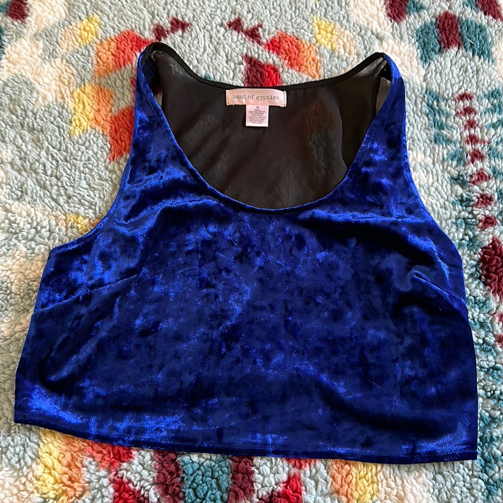 Blue Velvet Crop Top